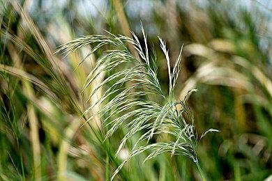 505 Games媒体发布会官宣首款中国游戏《实况！救援大作战》与多款新作内容